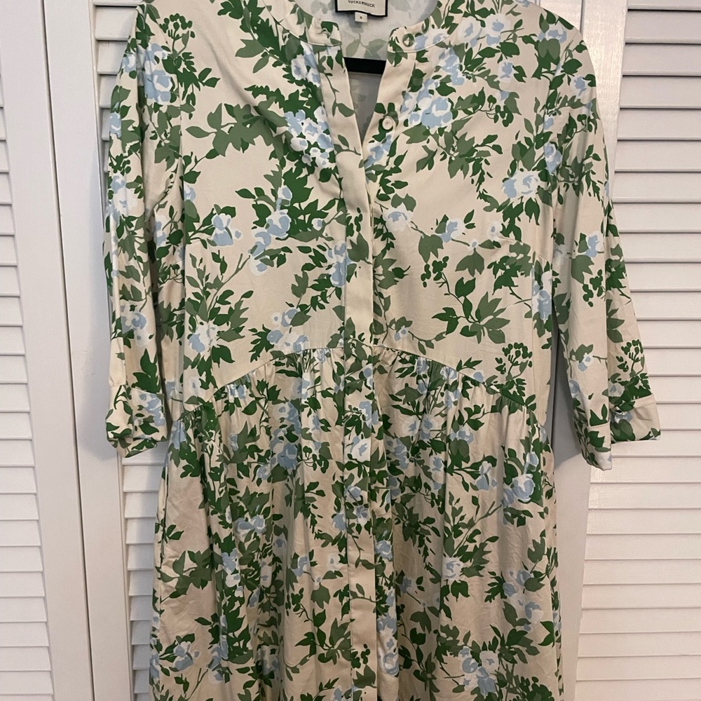 Tuckernuck Green and Cream Royal Shirtdress